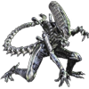 ALIENS VS